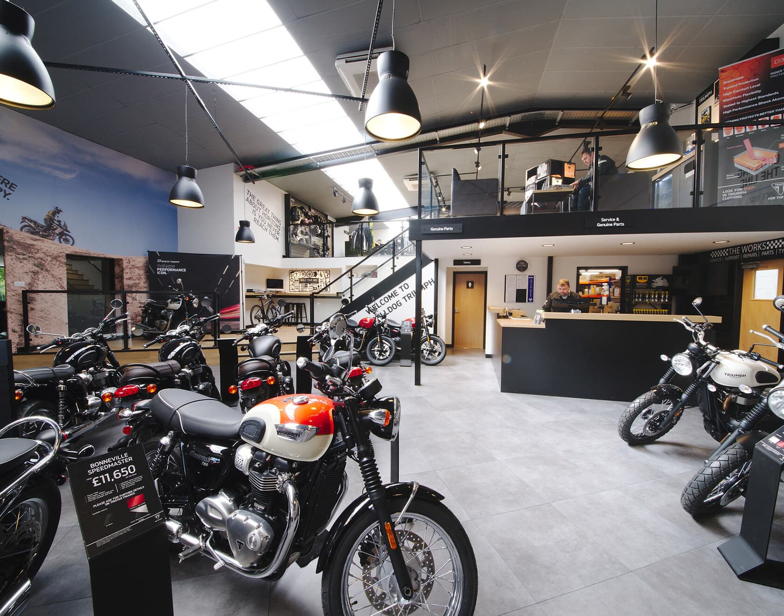 Bulldog Triumph Showroom